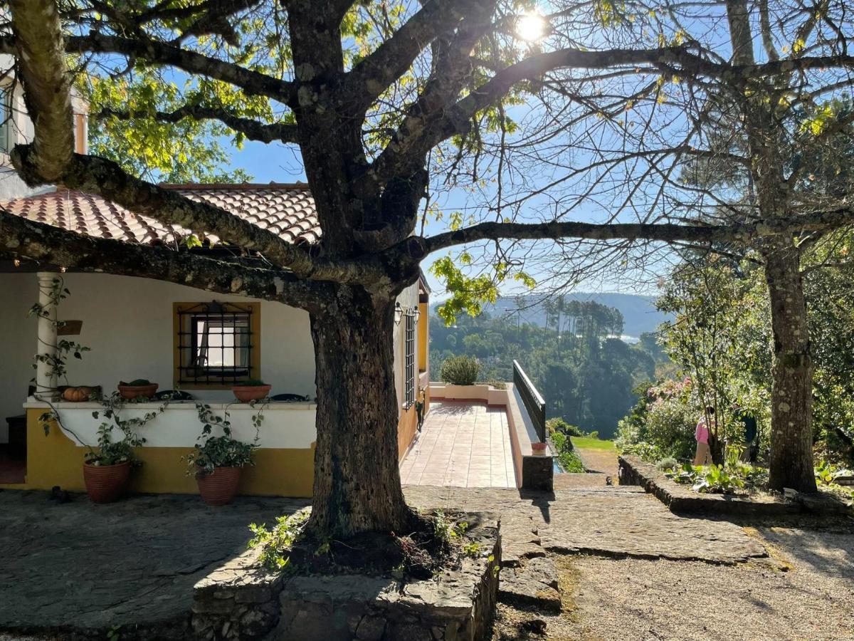 Villa Quinta Do Troviscal à Castelo do Bode Extérieur photo