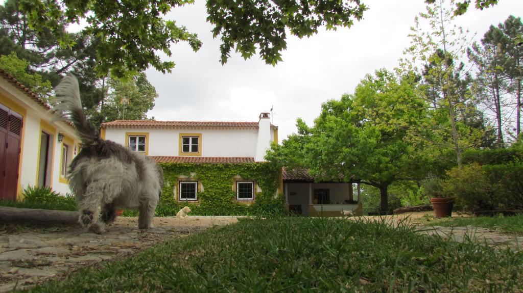 Villa Quinta Do Troviscal à Castelo do Bode Extérieur photo